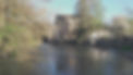 DSC07317.jpg