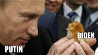 The Funniest Things We Saw Today