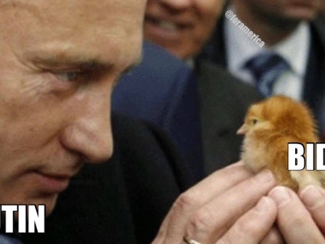 The Funniest Things We Saw Today