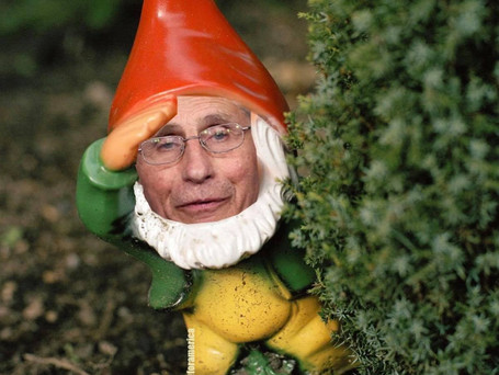 The Funniest Things We Saw Today