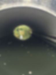 IMG_0669.jpeg