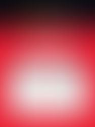 반려동물행동지도사 필기 합격자 대상 이벤트