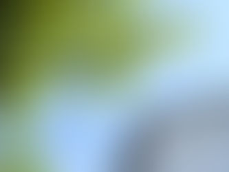 4月徳島脇町 - ししゅうと暮らしのお店 -