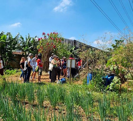 frente alimenta horta sebastiana Image 2023-07-19 at 15.10.09.jpeg
