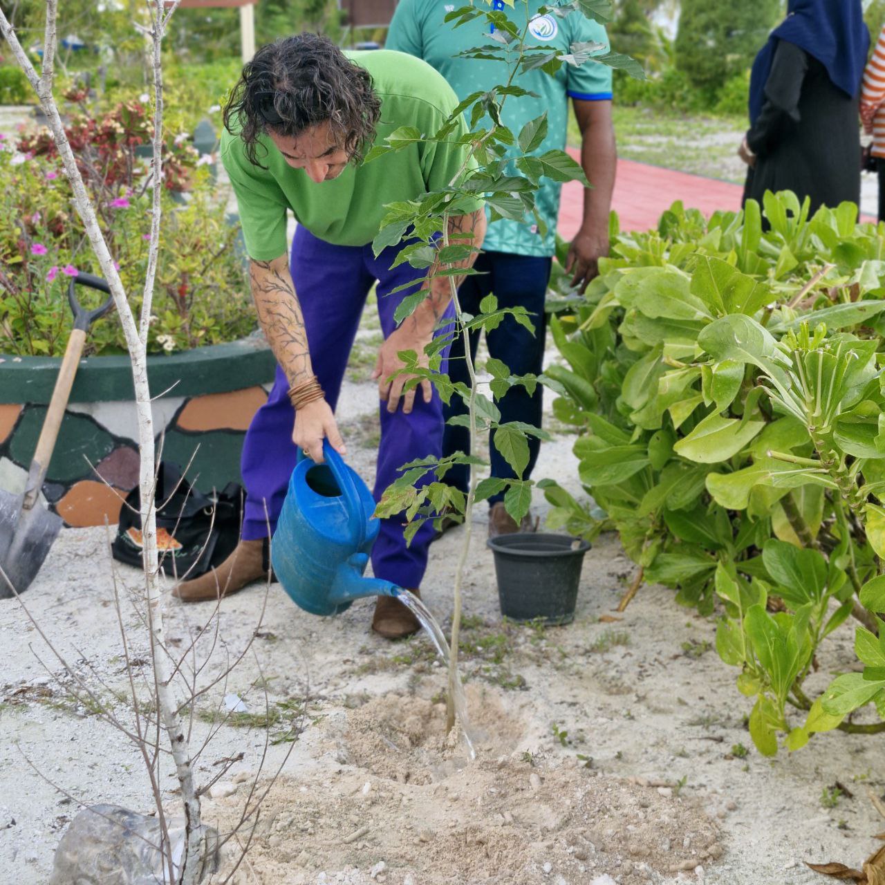 Volunteers cleaning the coastline