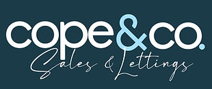 Sales & Lettings.jpg