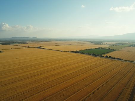 É possível vender parte de um imóvel rural?
