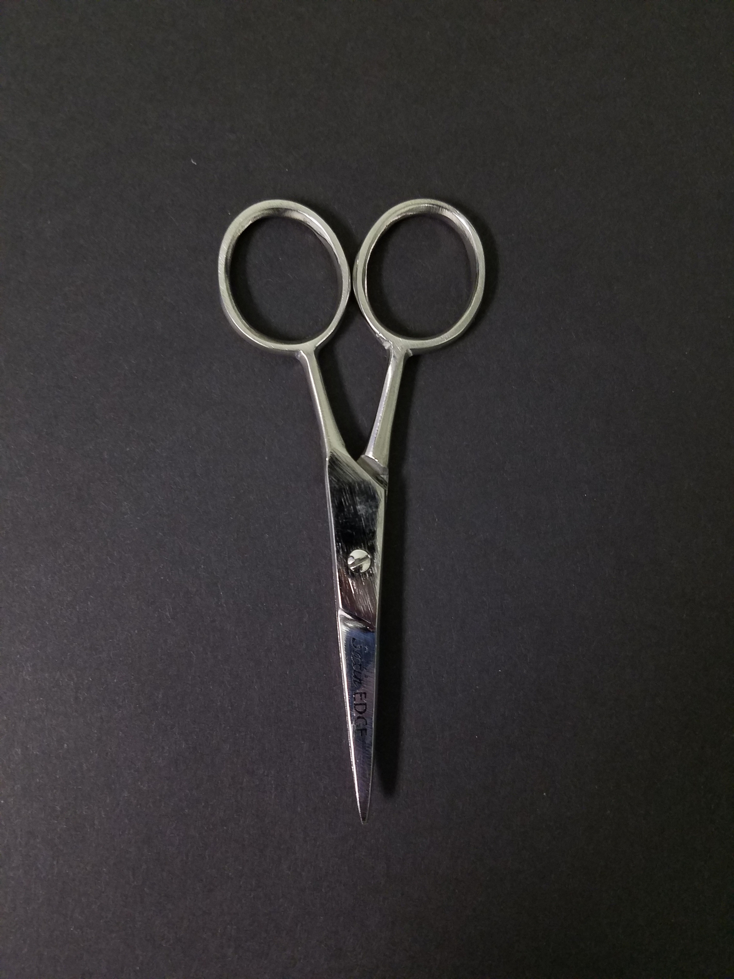 Stainless Steel Scissors