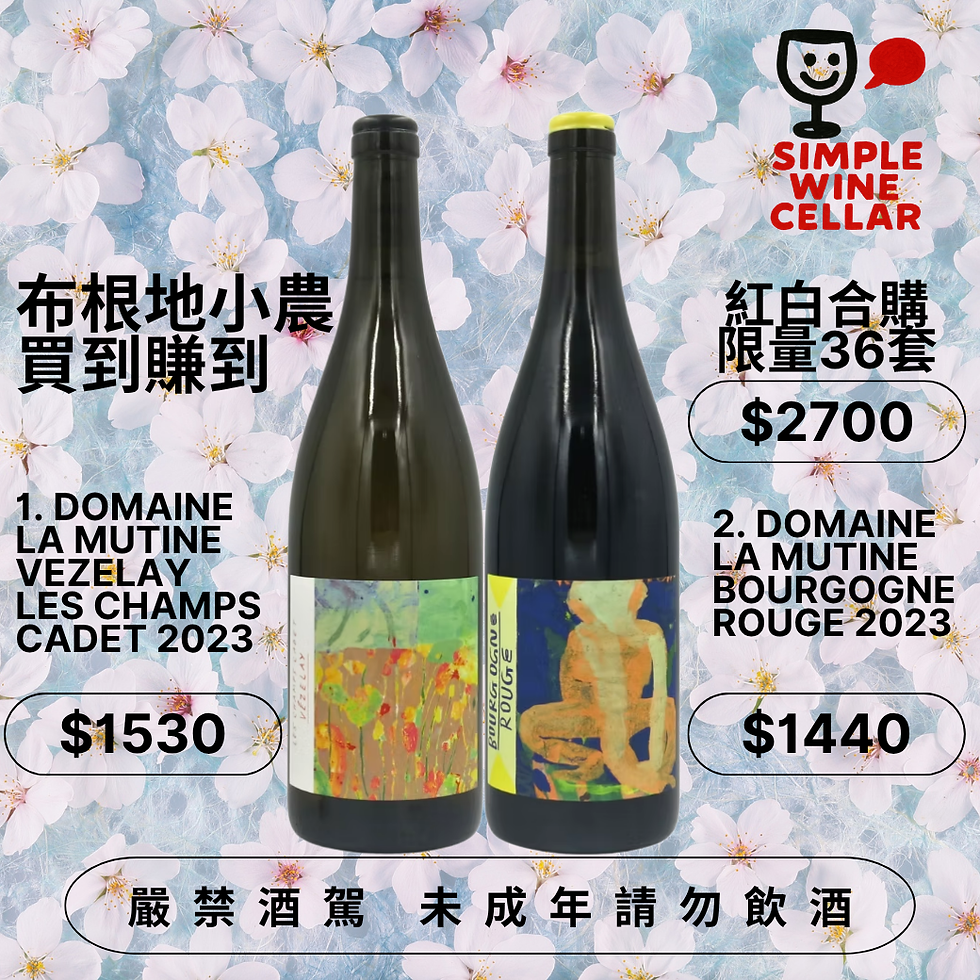 【簡單挑酒】布根地新人出道！