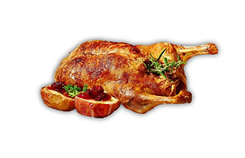 duck-2957809_1920_clipped_rev_2.jpeg