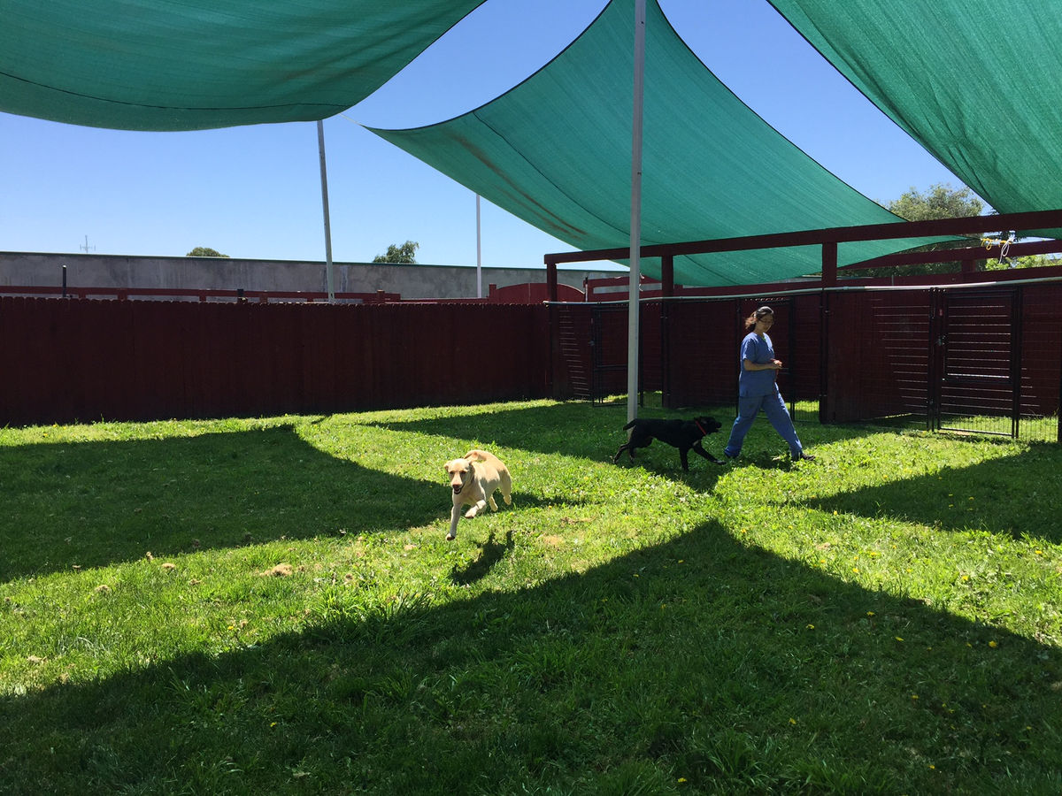 Sacramento Pet Boarding and Resort