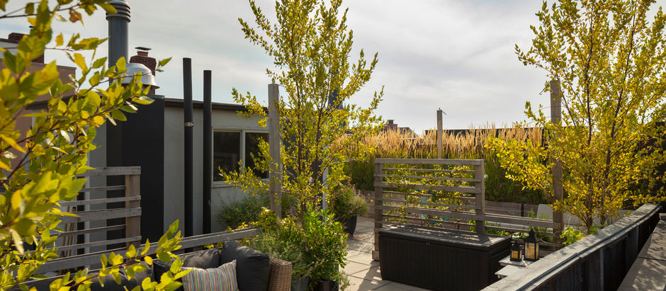 Behind the Design | A Shared Rooftop Garden Grows in Brooklyn