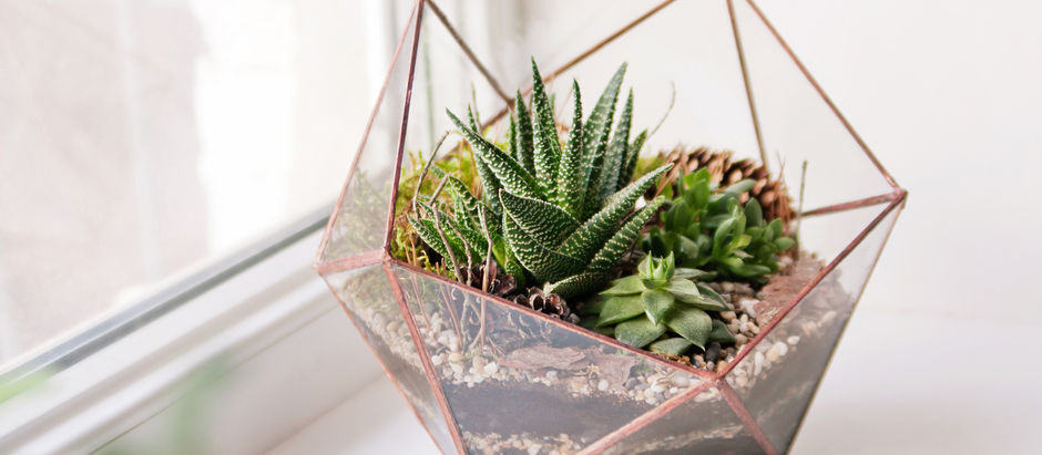 Terrariums: Bring Summer Indoors