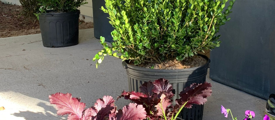 Autumn Container Inspiration