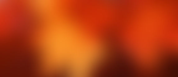 The Cultivation, Issue 21