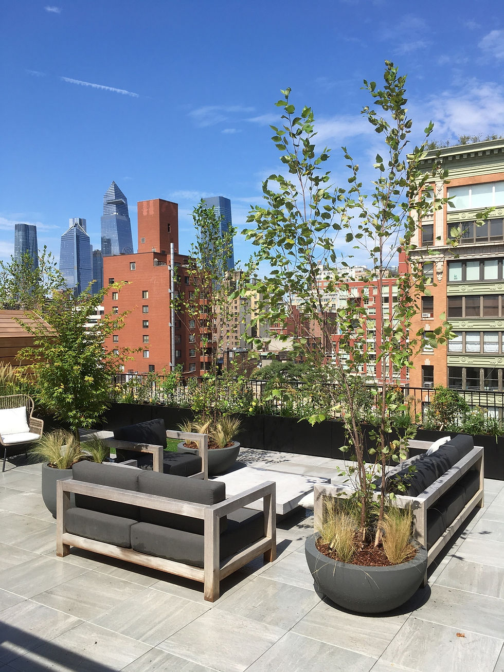 Staghorn NYC rooftop garden design