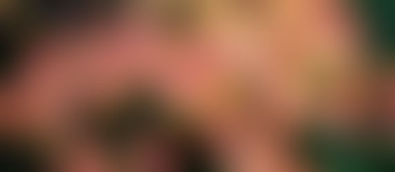 Plant Lore: Serviceberry (Amelanchier canadensis)