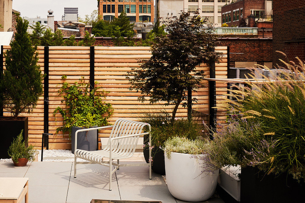 Best Trees for Rooftop Gardens in NYC