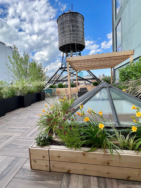 A large, lush rooftop garden in NOHO designed by Staghorn NYC Landscape Design featuring a cedar pergola, low-maintenance plantings, privacy trees and shrubs and flowering perennials.
