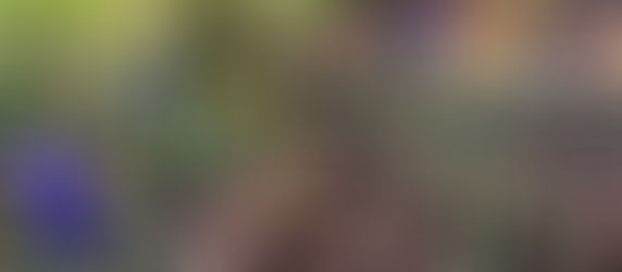 Early Spring Update at Greenleaf Garden