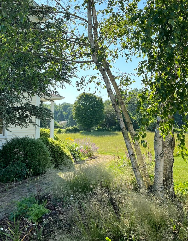 Connecticut Colonial Garden Design