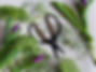 8E3536DB-2DE6-47A4-9AFB-5A1FB1847118_1_1
