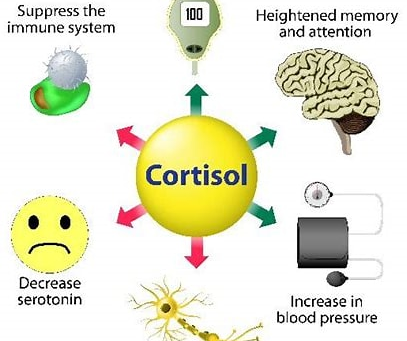 Stress i Norge – og mine refleksjoner om helse, kortisol og egne valg