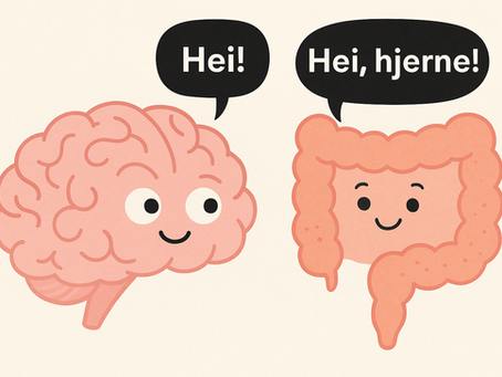 Fordøyelsen din – mer enn bare magen