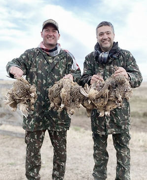 Hunting Perdiz in Argentina