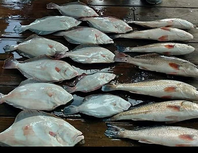 flounder.jpg
