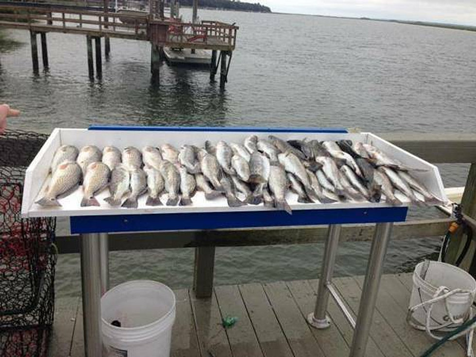 Fishing Charter In Coastal Ga Fishing United States
