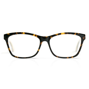 Wayfarer Glasses