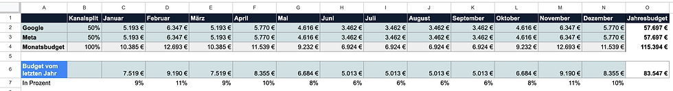 Beispiel für eine Jahresübersicht. Screenshot einer Exceltabelle mit der Aufspaltung des Jahresbudgets auf die einzelnen Monate. Inklusive Kanalsplit.