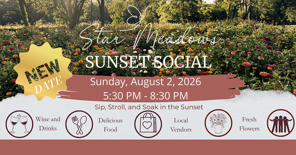 Sunset Social