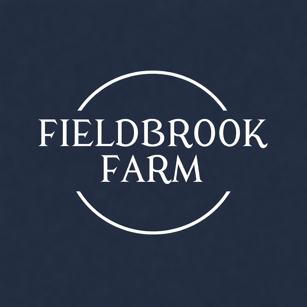 ELO Liberty & Bridleless Show