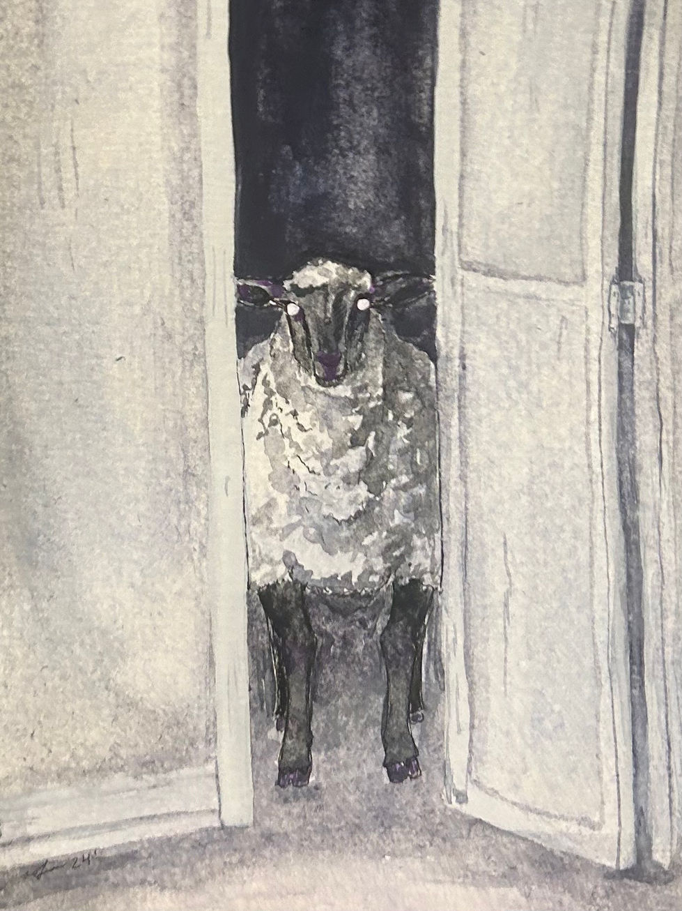 Creepy Sheep