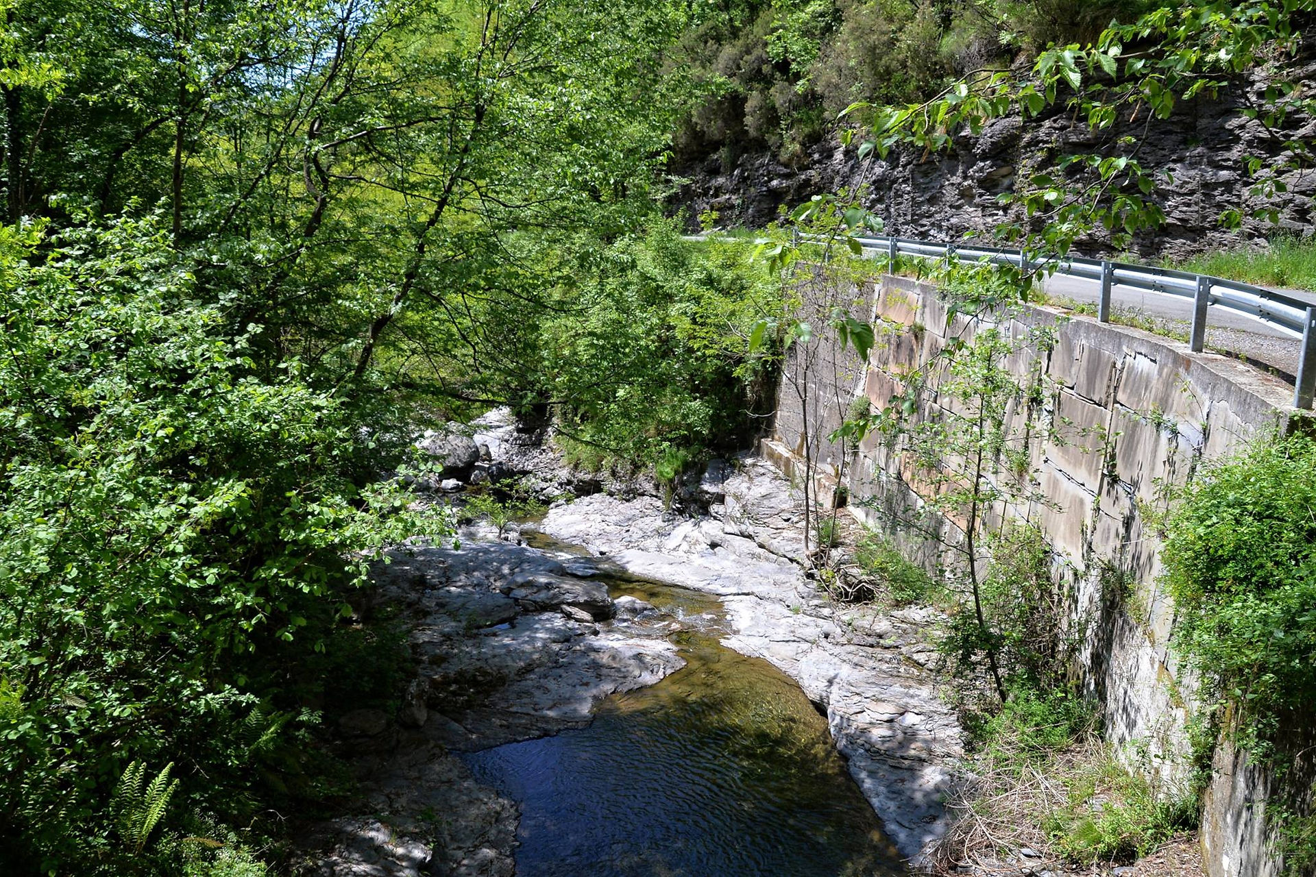Stream near Lorsica