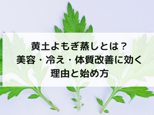 黄土よもぎ蒸しとは？美容・冷え・体質改善に効く理由と始め方