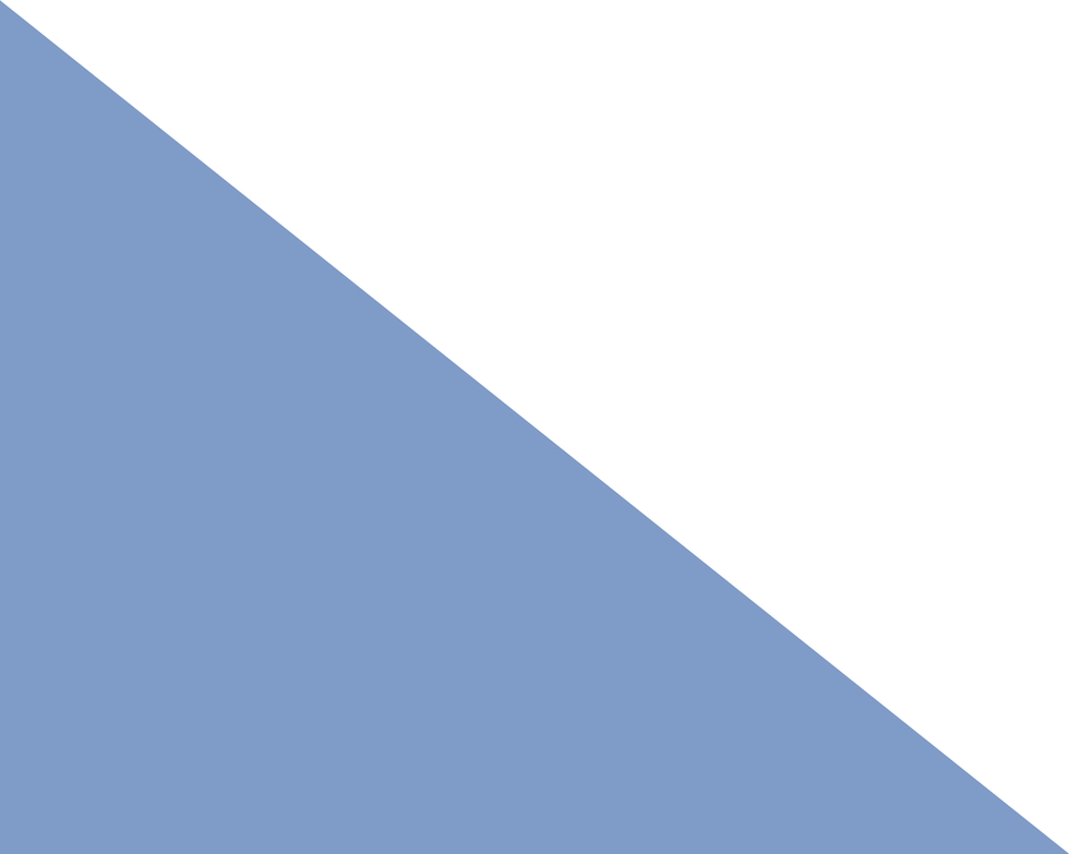 MV_2.png