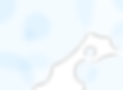 bg_img.png