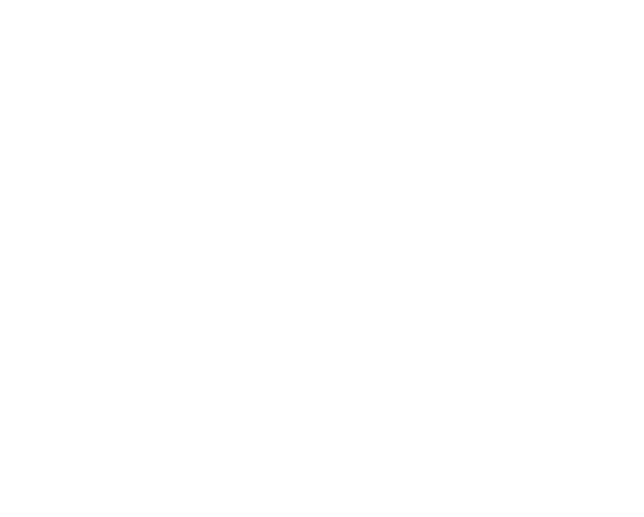 white_triangle.png
