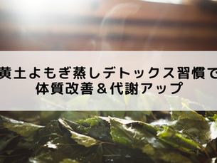 黄土よもぎ蒸しデトックス習慣で体質改善＆代謝アップ