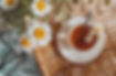 860ea6_1362d4c7a0fe42258bd9fb0adf97ecb0~mv2.png
