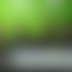 與岑偉宗談香港音樂劇