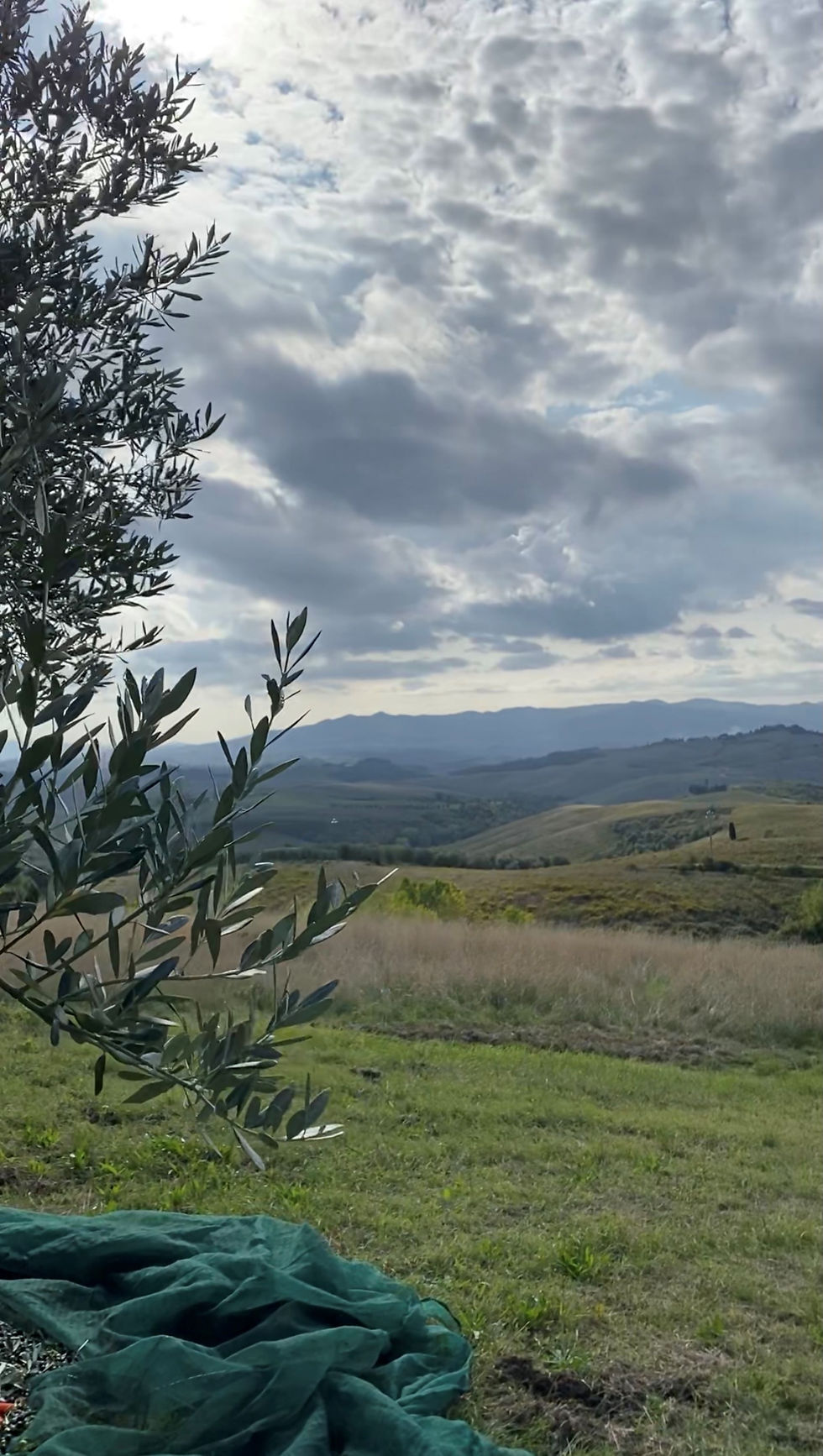 Admiring the rolling hills of Volterra, Tuscany