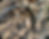 Thumbnail: Race 30
