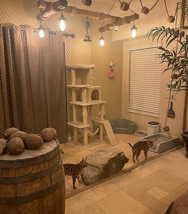Birthing Suite 3.jpg
