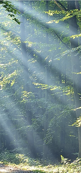 Retraite "Je m'éveille su Soi" Jugy  20 - 23 juin 24