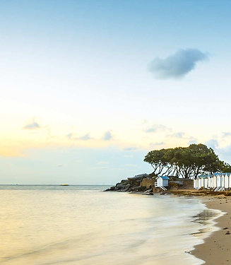 Stage de Yoga & Océan "Nature et Eléments" NOIRMOUTIER du 13 au 17 mai 2026