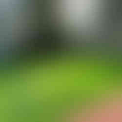 שיפוץ חצרות ומוסדות חינוך. קרדיט: עיריית חיפה